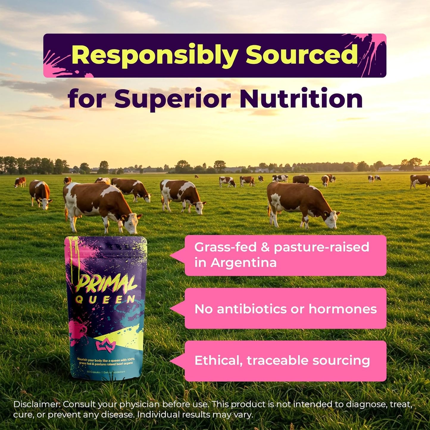 Primal Queen Beef Organ Superfood Supplement Optimized for Women